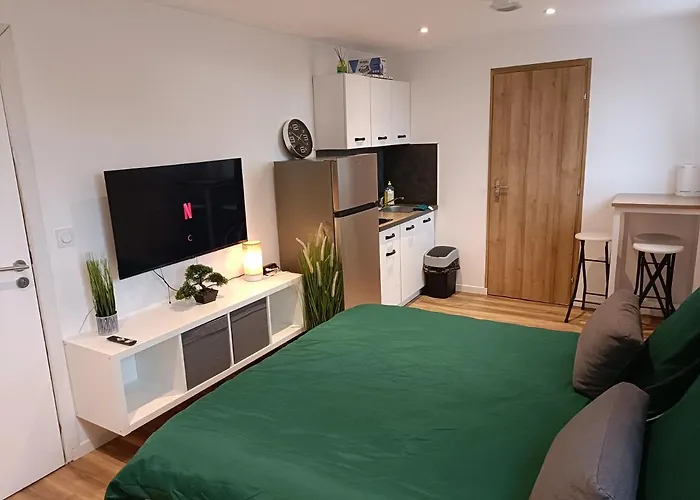 Studio Confortable Style
