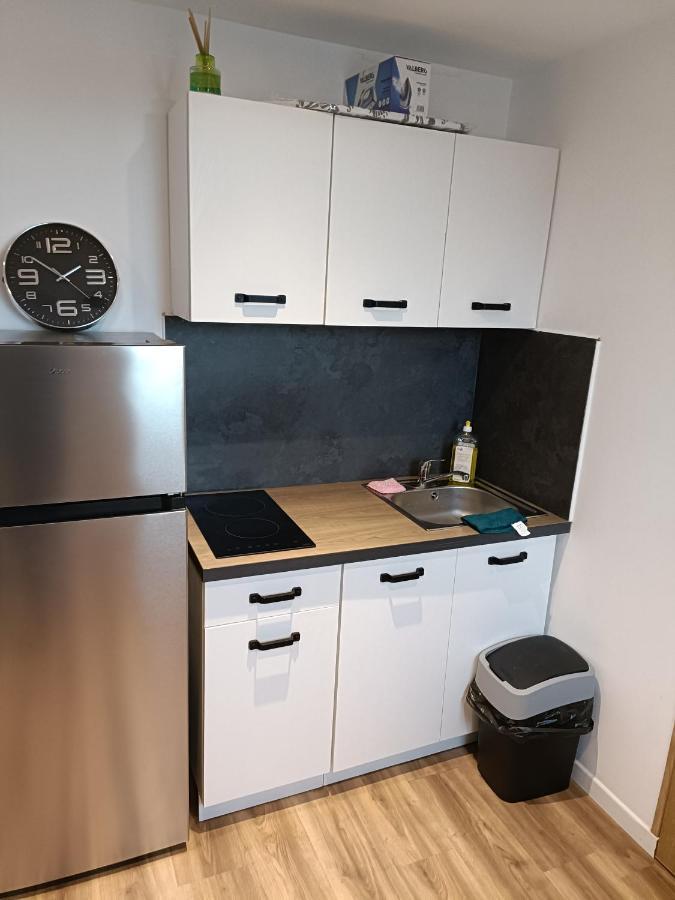Apartment Confortable Style Roubaix